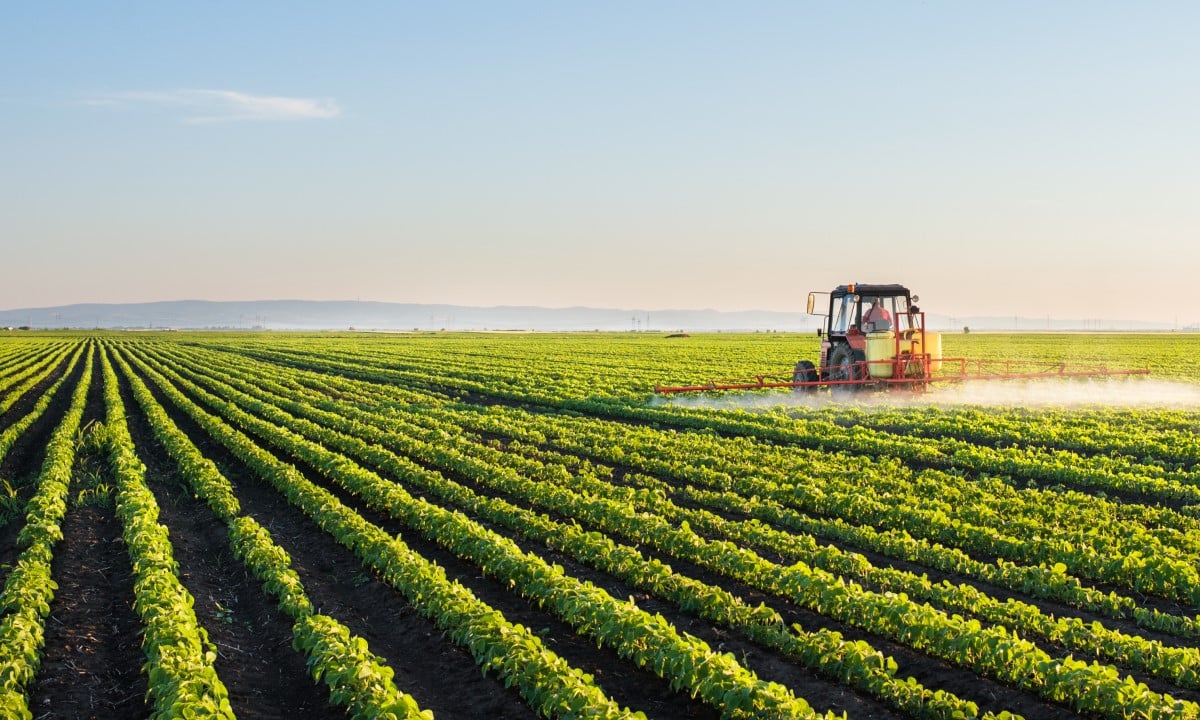 Extensive farming